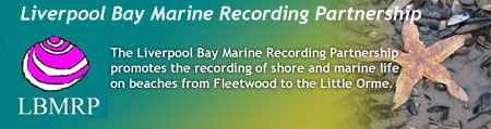 Liverpool Bay Marine Recording Partnership
