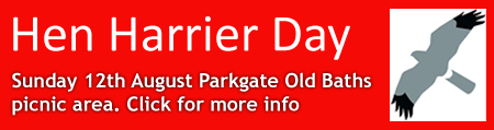 Hen Harrier Day